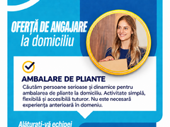 Ambalarea de pliante- Oferta de munca la domiciliu